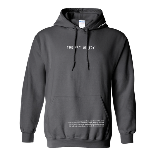 The art of joy collage grey sweatshirt front Andy Grammer